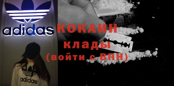 гидра Кинешма