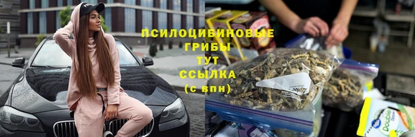 хмурый Киренск