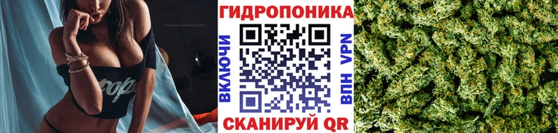 Купить где  Белореченск  Конопля White Widow 